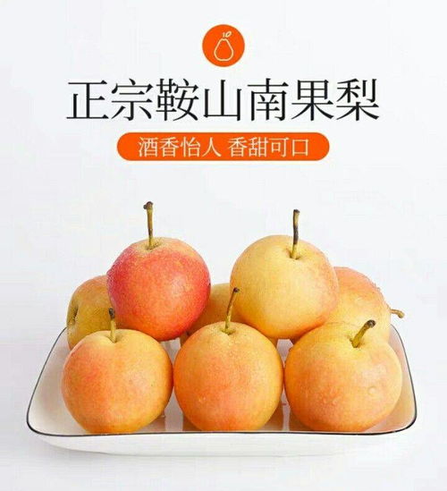 鞍山珍饈南果梨 一口酒香，滿口東北情懷