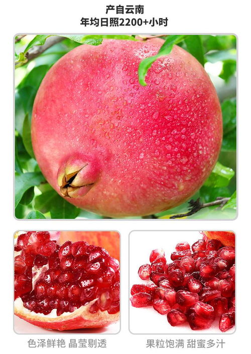 探秘云南會(huì)理 自然饋贈(zèng)的紅石榴，當(dāng)季新鮮包郵直達(dá)